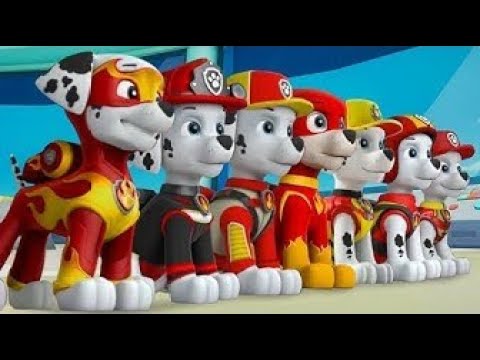 PAW Patrol : La pat'patrouille (dessins animé)
