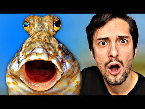 Einzigartiger Fisch scheißt auf die Evolution