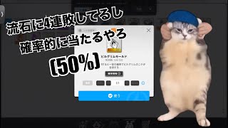【勝利の女神NIKKE】ピルグリムモールドのバグ【猫ミーム】