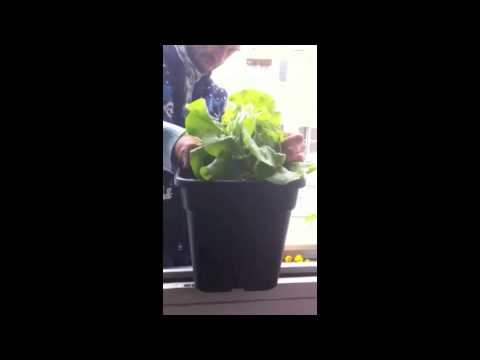 VoulezVousDiner chez Rokia