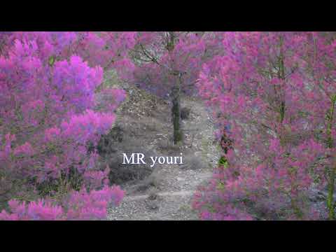 Mr you ri ft karim lartistou bent bledi