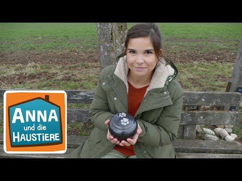 Wenn Haustiere sterben | Information für Kinder | Anna und die Haustiere | Spezial