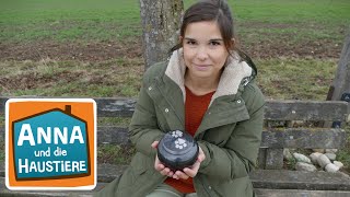 Wenn Haustiere sterben | Information für Kinder | Anna und die Haustie
