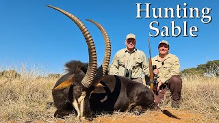 Hunters!! Watch this Sable Antelope hunt in South Africa