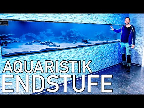 Das 4,5m Aquarium ist FERTIG!