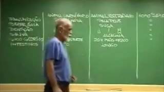 Não fomos projetados para comer carne