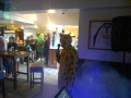 The Lion Sleeps Tonight Karaoke The Three Horseshoes Far Headingley Leeds Otley Run