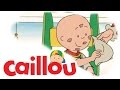 Caillou Caillou Plays A Baby S01E55 Cartoon For Kids