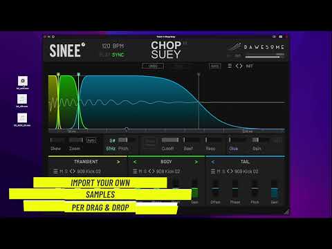 Chop Suey - Overview