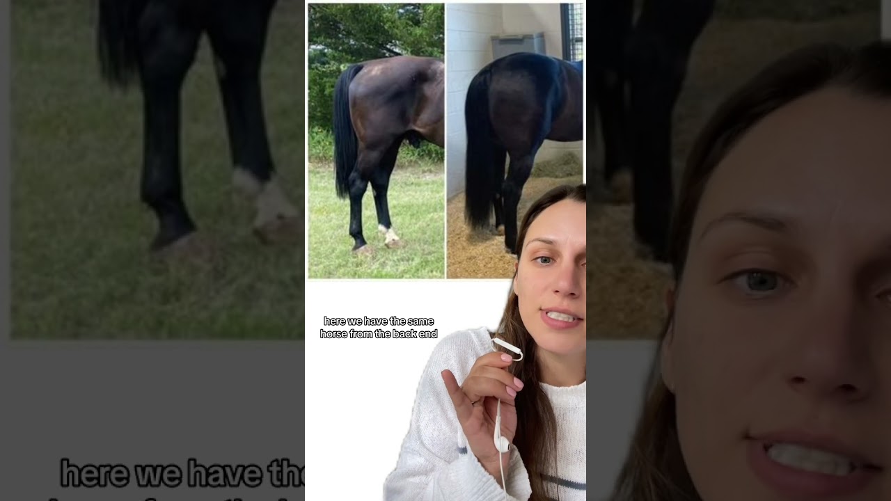 Excel EQ Before and After !