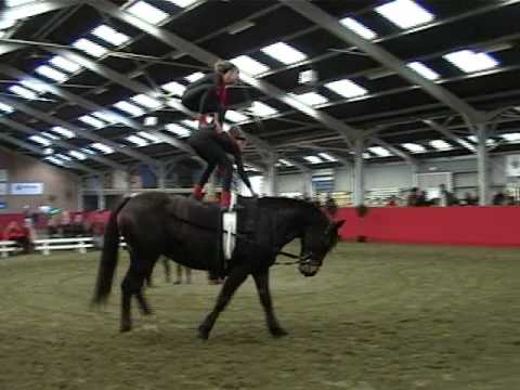 de kur van team 4 van de Opsprong in Maren-Kessel, 2008