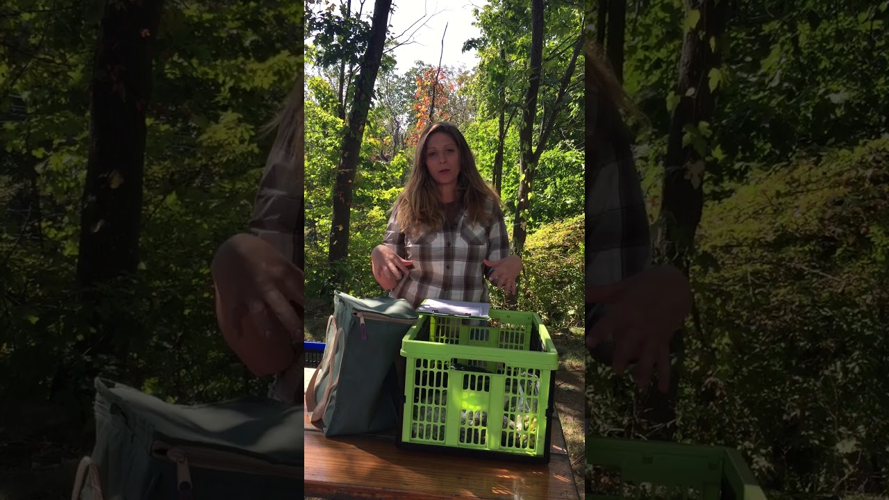 CSA Pickup Instructions