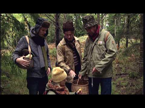 Bernt - Svampplockare (Robert Gustafsson)