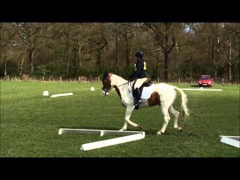 Norton Disney (1) 9 April 2016 BE90 Dressage Test 96