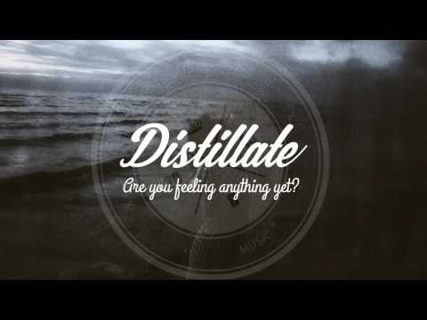 brothel x sidewalks & skeletons - dissolution