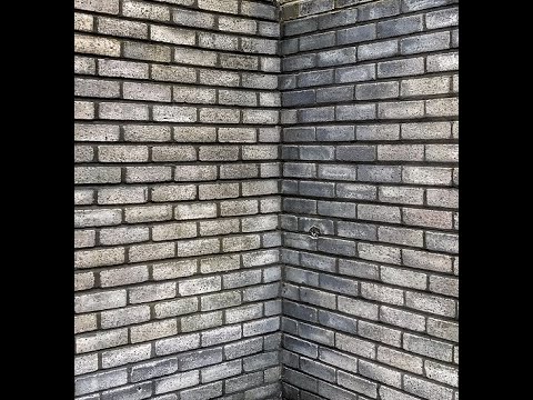 Sefer Melachim Alef Ch 1 Pt 5 Grasping at Corners