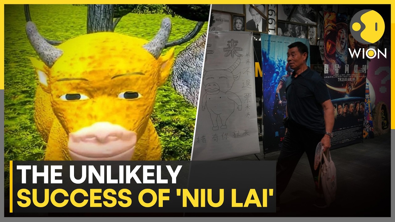 Chinese Film Made At $200 Budget Turns Multi-Million-Dollar Hit | WION News