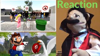 SMG4: Untitled Mario Video Reaction (Puppet Reaction)