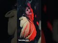Tere Ishq Mein Nachenge SANIYA SHAIKH Tiktok Couplestatus Couplestatus Broken