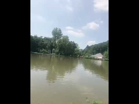 les parker en Belgique