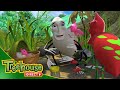 Miss Spider Lulla Bug The Most Perfect Parent Ep 30