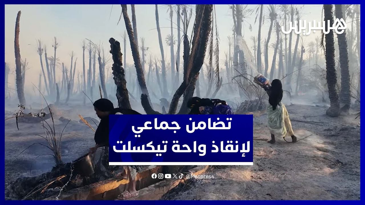 تلاحم بين السكان والسلطات لإخماد النيران بواحة تيكسلت ضواحي طاطا thumbnail