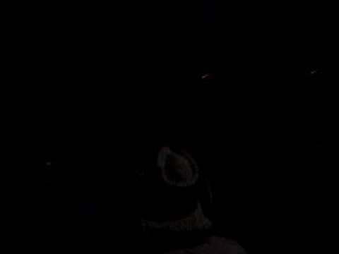 Sultan WMC 2007 Space Miami