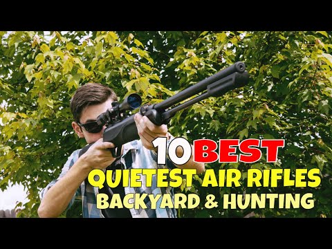 Top 10 Best Quietest Air Rifle for Backyard and Hunting [Quietest Air Rifles with Decibel Rating]