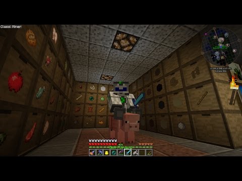 IC2 classic 1.10.2 testing server - Quantum, enchanting, and pigs