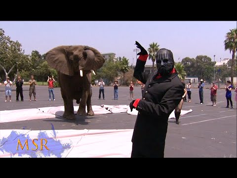 HOW TO MAKE AN ELEPHANT APPEAR!