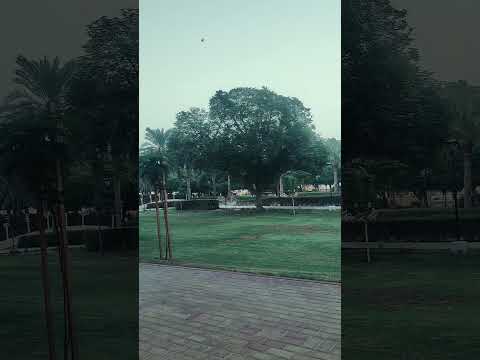 Park🍁🌿🦜🌲