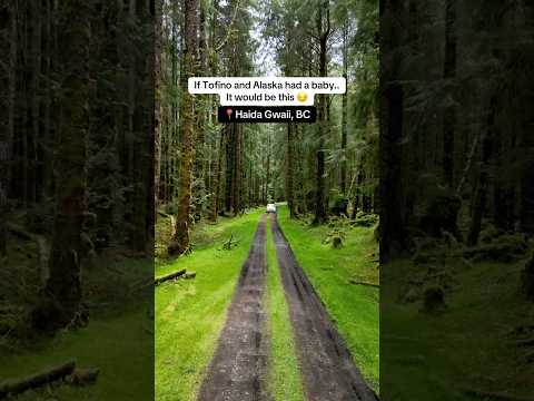 Tofino and Alaska’s baby 👉 Haida Gwaii, BC! Full itinerary in description👇 #travelcanada