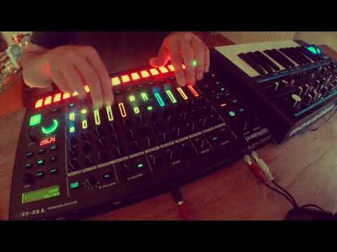 SYLYS // Live techno // Roland TR-8S + BassStation
