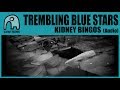TREMBLING BLUE STARS - Kidney Bingos [Audio]