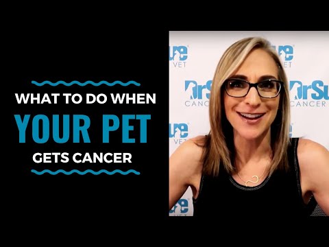 What To Do When Your Pet Gets Cancer: VLOG 78