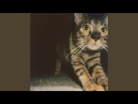 Safe And Sound - Mr Floyd Larry