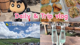 お弁当作り置き＆熊本・阿蘇日帰り旅行｜夏野菜で作るゴーヤチャンプルととうもろこし【Vlog】