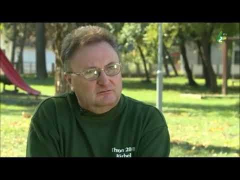 GITARA KOTRA HRAJE ROMANSI - Avtor Zlatka PEROVIĆ