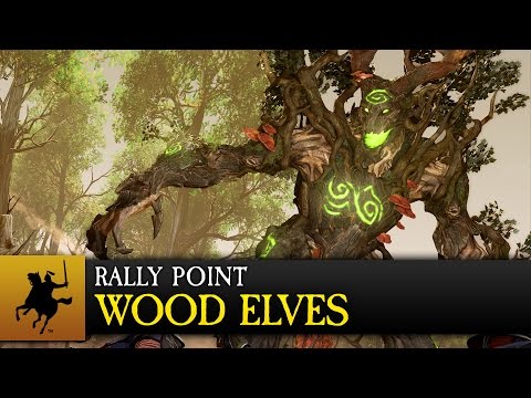Rally Point - Laying Down the Lore: Realm of the Wood Elves