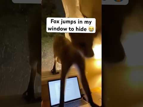 Times change but love never does #wholesome #animals