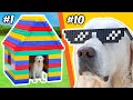 LEGO BAUTEN Für Einen HUND