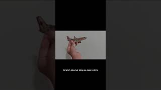 Download lagu pesawat lion air flight jt 610 crash #shorts mp3
