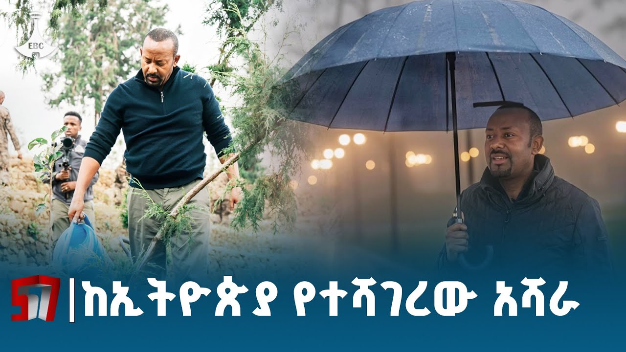 የጠቅላይ ሚኒስትሩን የአረንጓዴ አሻራ ንቅናቄ ለዓለም የማስተዋወቅ መርሐግብር ETV | EBC