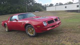 1976 Pontiac Firebird Trans Am Drive By