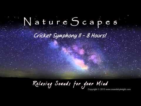 ???? NIGHT TIME CRICKETS - 8 Hours of Relaxing Cricket Sounds to help you Study & Sleep