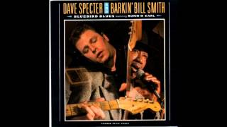 Railroad Station Blues DAVE SPECTER & BARKIN' BILL SMITH