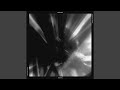 Acidcore (Slowed + Reverb) (Short Version)