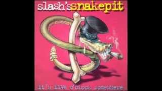 Slash's Snakepit - Back And Forth Again
