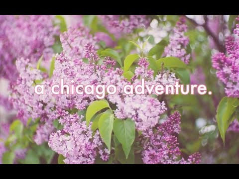 très chic(ago)📍bts @ soldier field