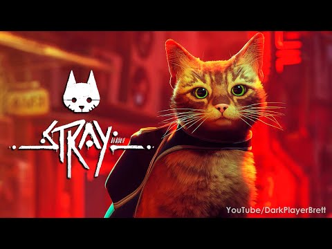 Stray - Full Game Walkthrough 100% 🐈 (Longplay) [2K 60FPS]
